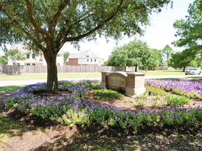 19923 Durwood Pines Lane, Cypress TX 77433