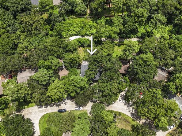 12 S Cypress Pine Drive, The Woodlands TX 77381