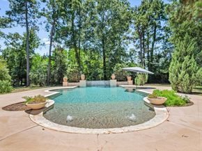 4806 Pine Wood Meadows Lane, Spring TX 77386