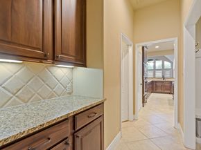 28022 Burro Springs Lane, Spring TX 77386