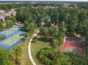 28022 Burro Springs Lane, Spring TX 77386