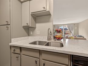 4649 Wild Indigo Street 336, Houston TX 77027