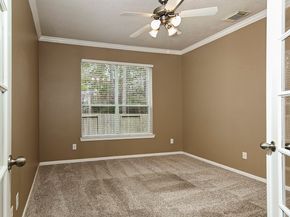 14 Mercutio Court, The Woodlands TX 77382