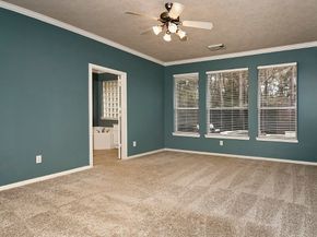 14 Mercutio Court, The Woodlands TX 77382