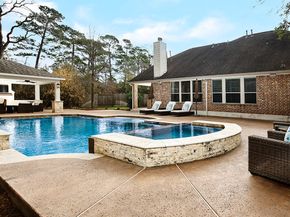 14 Mercutio Court, The Woodlands TX 77382