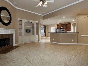 14 Mercutio Court, The Woodlands TX 77382