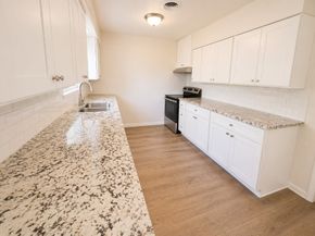 12318 Braewick Drive, Houston TX 77035