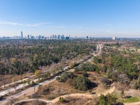 1408 Asbury Street, Houston TX 77007