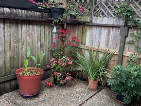 5217 Arboles Drive M, Houston TX 77035