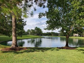 14910 Lake Woodbridge Court, Sugar Land TX 77498