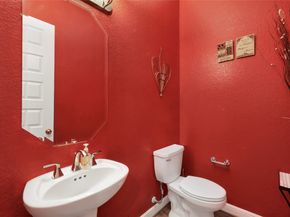 13236 Tracewood Hills Lane, Houston TX 77044