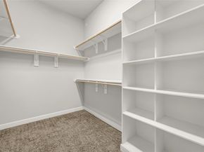 13236 Tracewood Hills Lane, Houston TX 77044