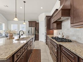 95 Lindenberry Circle, The Woodlands TX 77389