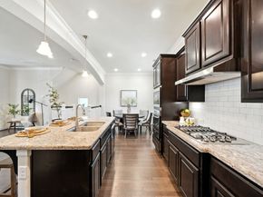 9910 Spring Shadows Park Circle, Houston TX 77080