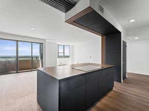 651 Bering Drive 1903, Houston TX 77057