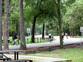 5401 Floyd Street, Houston TX 77007