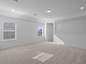 22530 Basswood Bend Road, Waller TX 77484