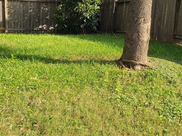 19042 Remington Mill Drive, Houston TX 77073