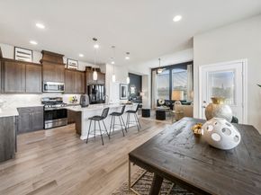 21123 Medina River Drive, Cypress TX 77433