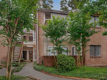 3500 Tangle Brush Drive