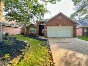 27 Auburn Path Drive, The Woodlands TX 77382