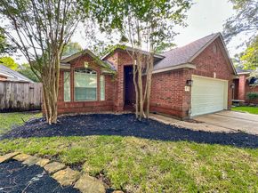 27 Auburn Path Drive, The Woodlands TX 77382