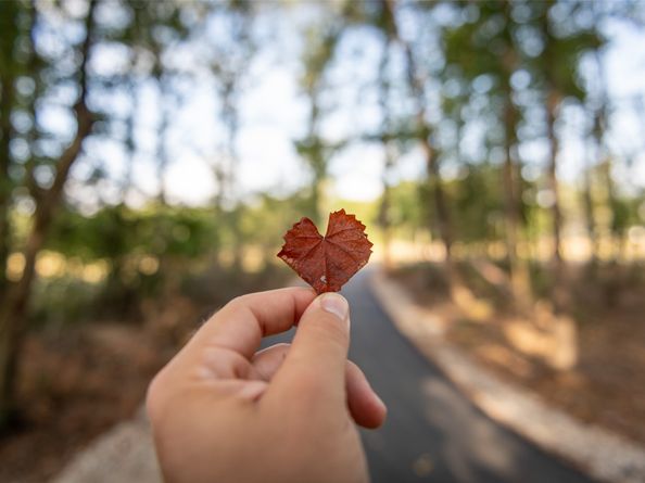 9502 Sierra Crest Lane, Porter TX 77365