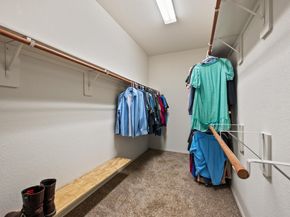 12319 Little Blue Heron Lane, Conroe TX 77304