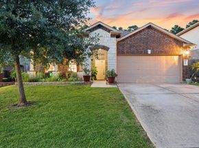 12319 Little Blue Heron Lane, Conroe TX 77304