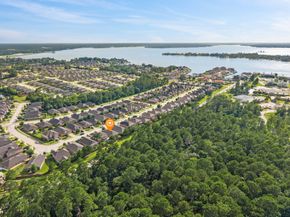 12319 Little Blue Heron Lane, Conroe TX 77304