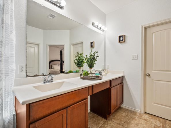 12319 Little Blue Heron Lane, Conroe TX 77304