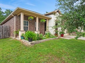 12319 Little Blue Heron Lane, Conroe TX 77304