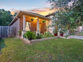 12319 Little Blue Heron Lane, Conroe TX 77304