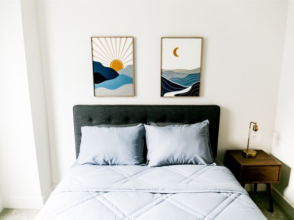 5203 Burress Springs Lane, Houston TX 77022