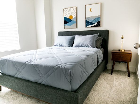 5203 Burress Springs Lane, Houston TX 77022