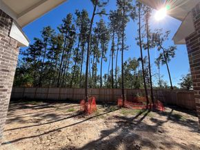 16008 Mahogany Mist Drive, Conroe TX 77302