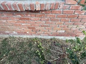 5147 Jackwood Street, Houston TX 77096