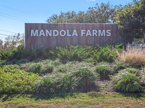 1147 Muscadine Hollow Lane, Richmond TX 77406