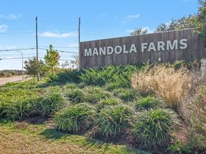 1147 Muscadine Hollow Lane, Richmond TX 77406