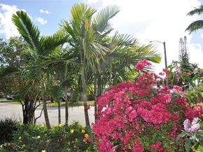 3171 NW 69 Court, Fort Lauderdale FL 33309