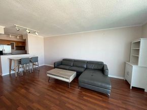 335 S Biscayne Blvd 4004, Miami FL 33131
