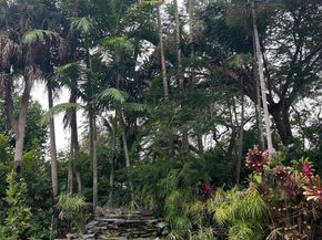 15620 SW 77th Avenue, Palmetto Bay FL 33157