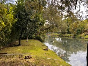 15620 SW 77th Avenue, Palmetto Bay FL 33157