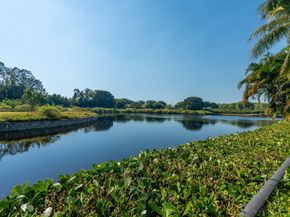 2971 Bent Cypress Road, Wellington FL 33414