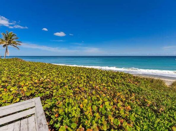 420 Celestial Way 101, Juno Beach FL 33408