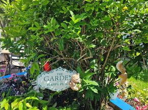 147 Salisbury G 147, West Palm Beach FL 33417