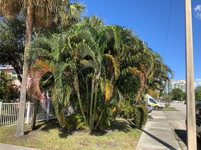 700 Bayshore Drive 13, Fort Lauderdale FL 33304