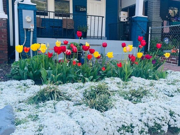 2319 3rd Street NE, Washington DC 20002