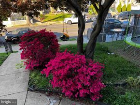 1250 Unruh Avenue, Philadelphia PA 19111