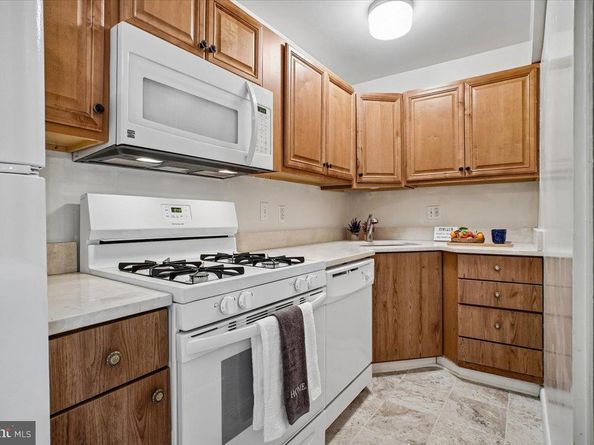 204 Park Terrace Court SE 25, Vienna VA 22180